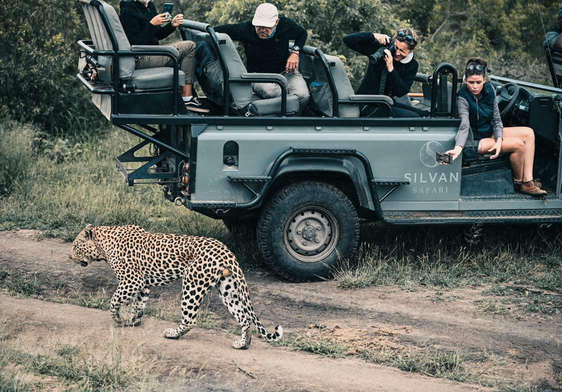 Hukumuri walking by guests